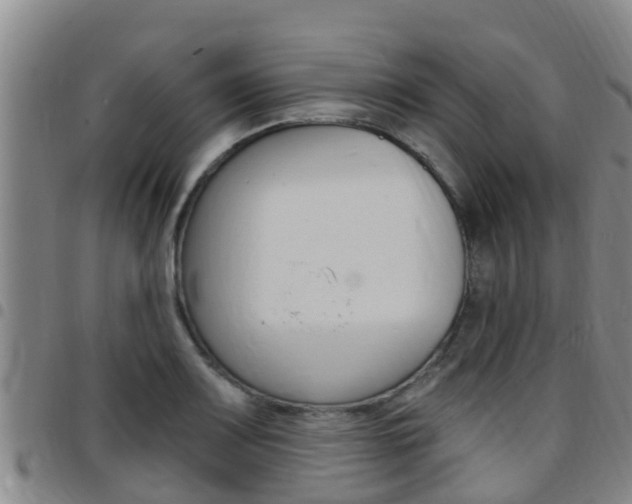 X0000097871083200803140913