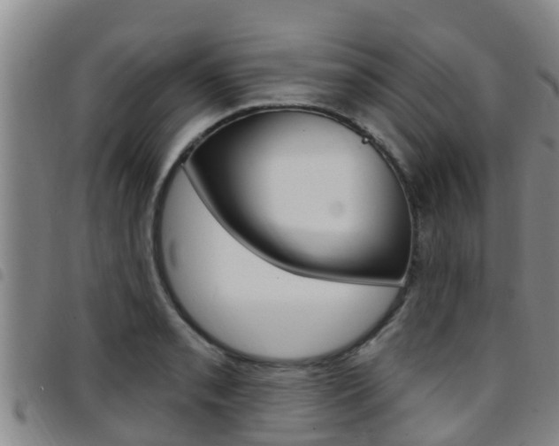 X0000097871085200803140912