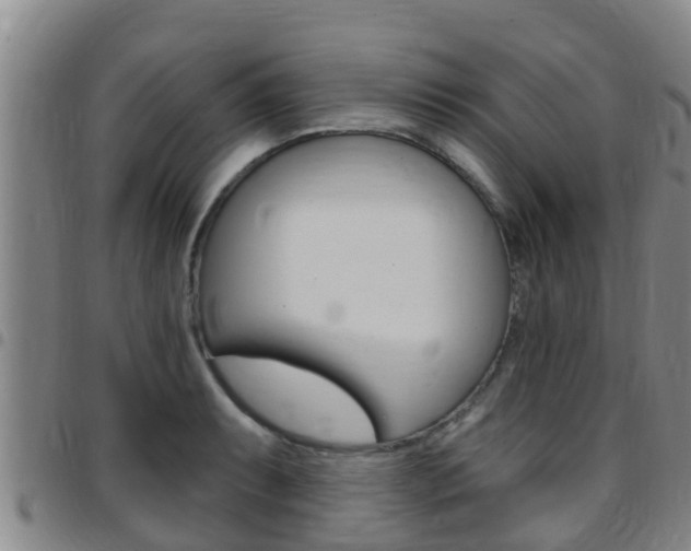 X0000097871087200803140912