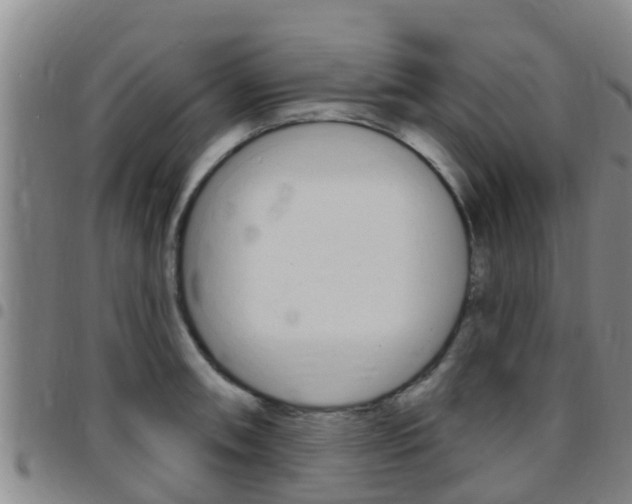 X0000097871090200803140912