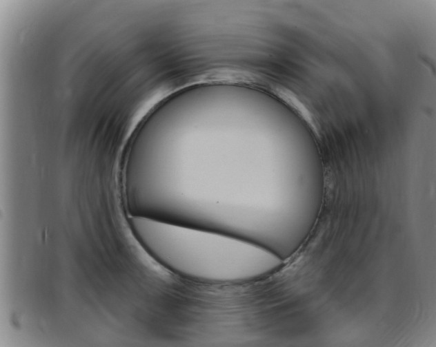 X0000097871091200803140912