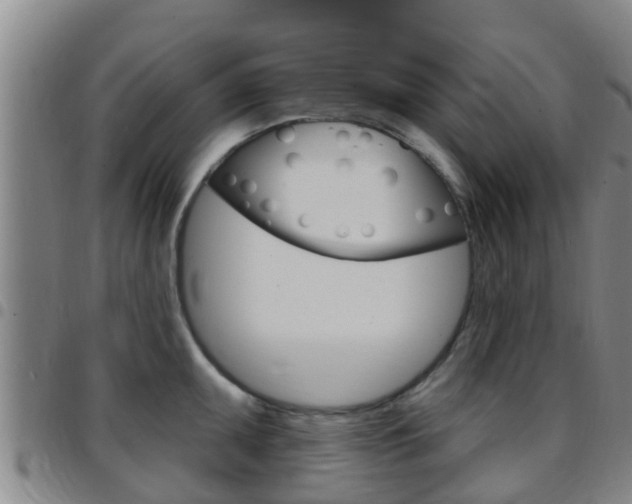 X0000097871095200803140912