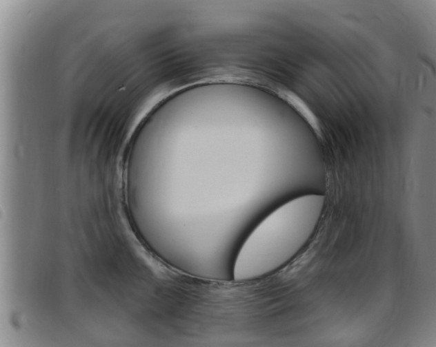 X0000097871099200803140912