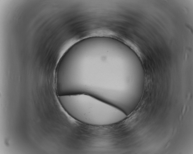X0000097871103200803140912