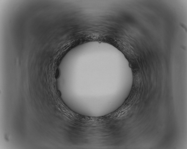 X0000097871105200803140912