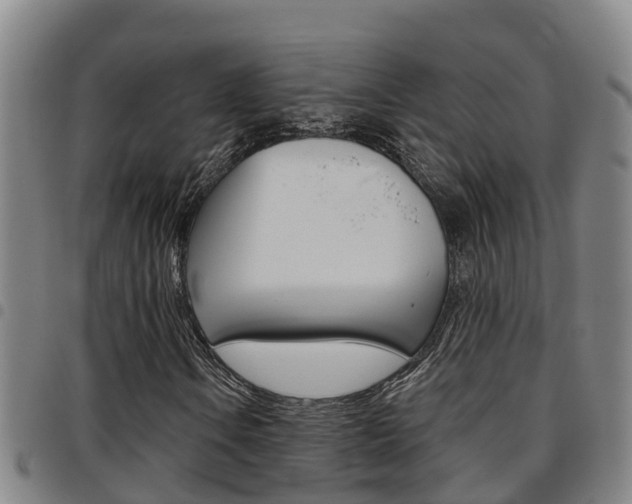 X0000097871106200803140912