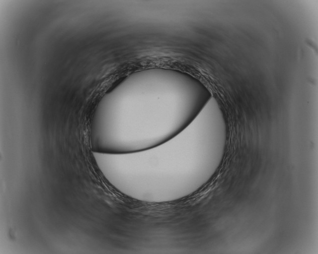 X0000097871109200803140912