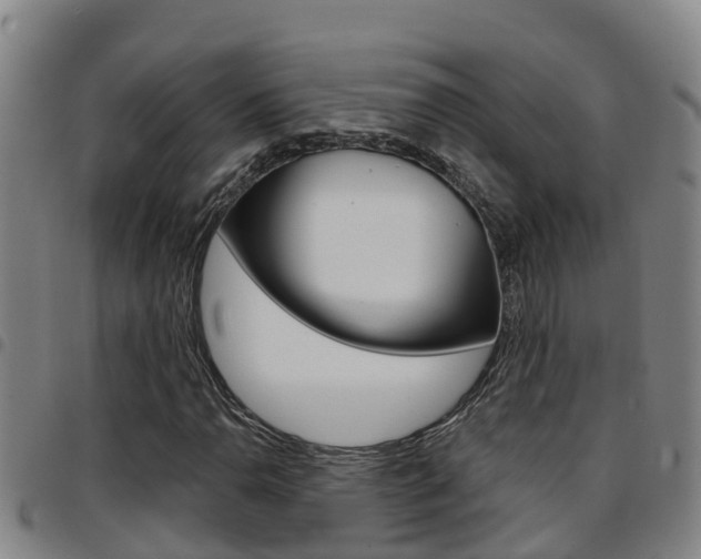X0000097871110200803140912