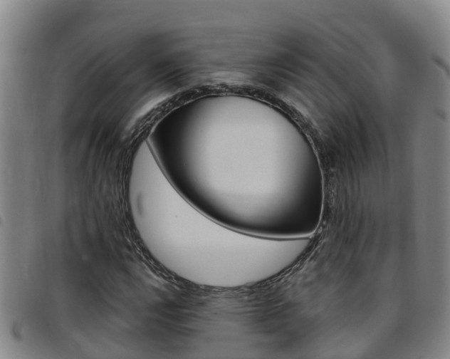 X0000097871112200803140912