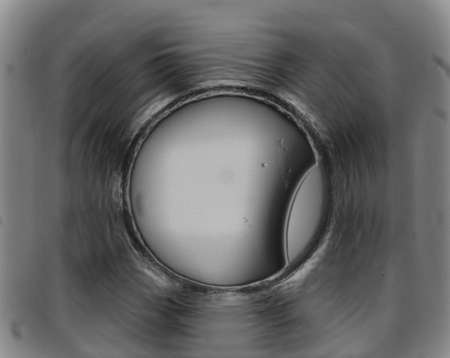 X0000097871113200803140912