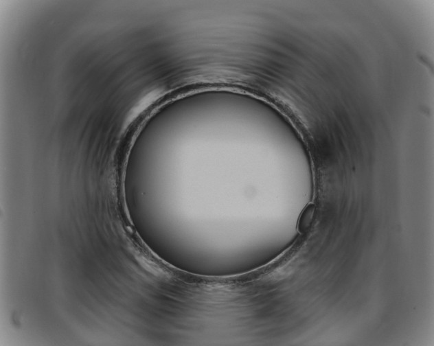 X0000097871114200803140912