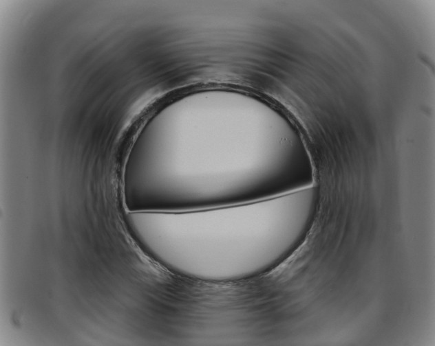 X0000097871115200803140912