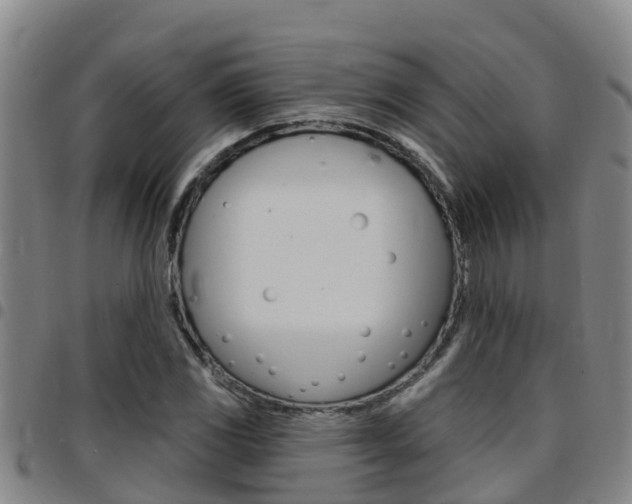 X0000097871117200803140912