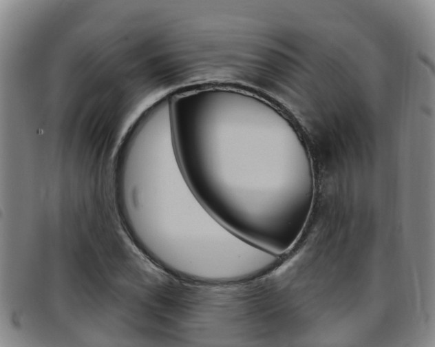 X0000097871118200803140912