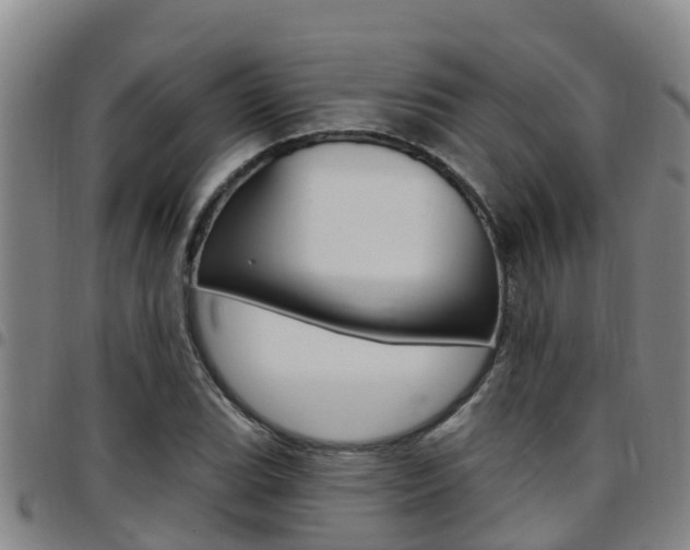 X0000097871119200803140912