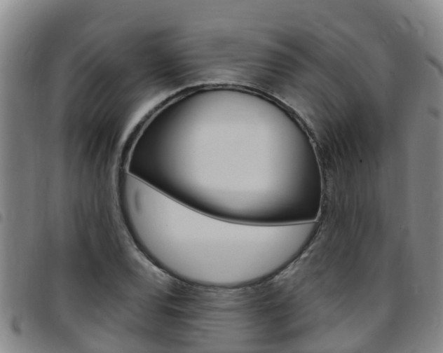 X0000097871120200803140912