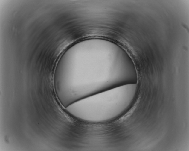 X0000097871121200803140912