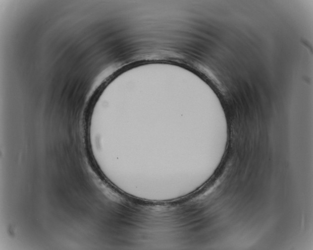 X0000097871122200803140912