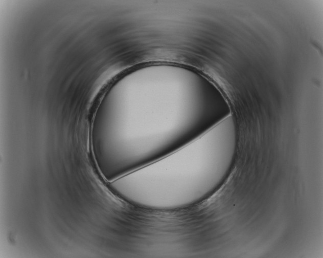 X0000097871123200803140912