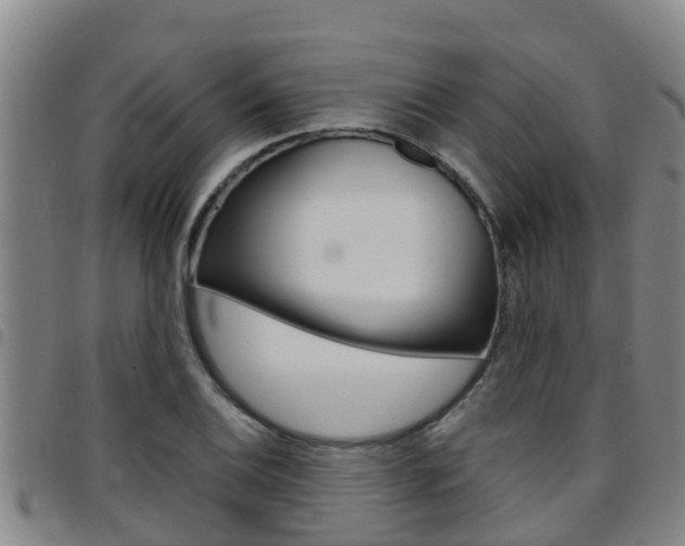 X0000097871124200803140912