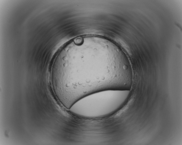 X0000097871125200803140912