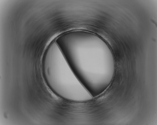 X0000097871127200803140912