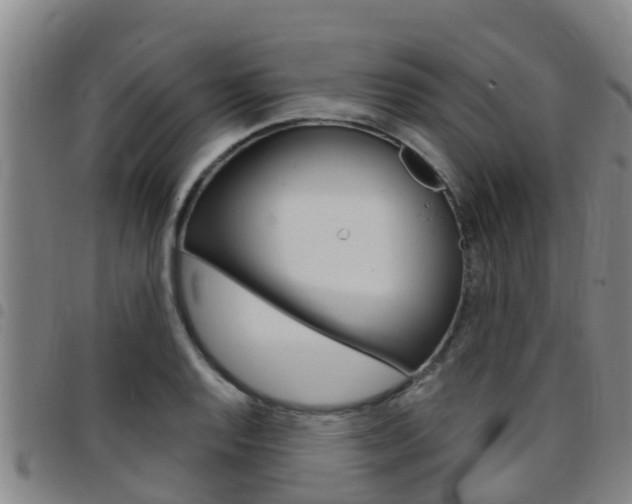 X0000097871128200803140912
