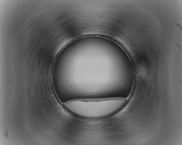 X0000097871129200803140912