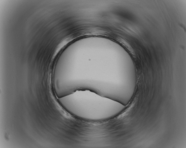 X0000097871130200803140912
