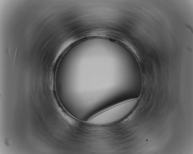 X0000097871131200803140912