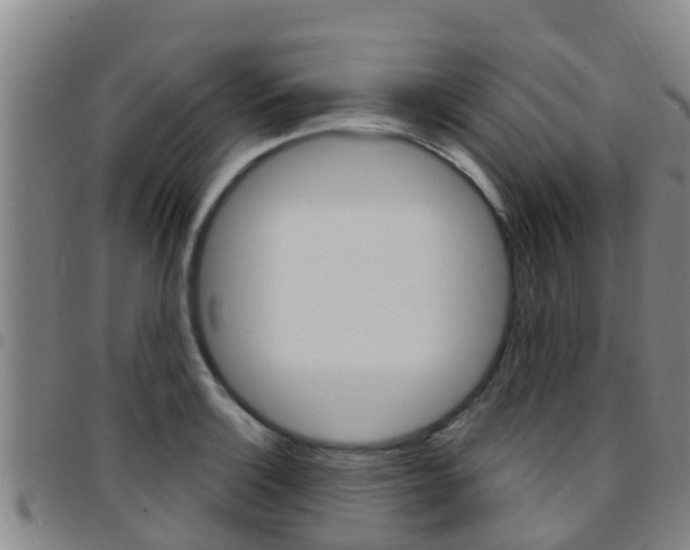 X0000097871132200803140912