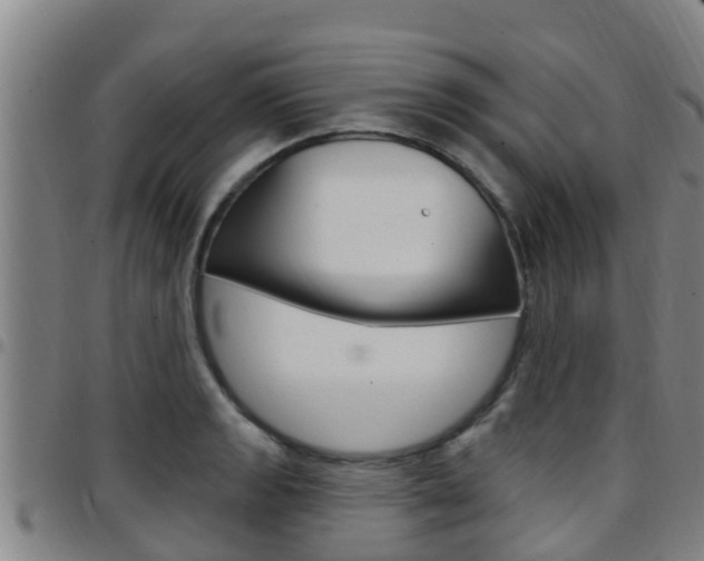 X0000097871133200803140912