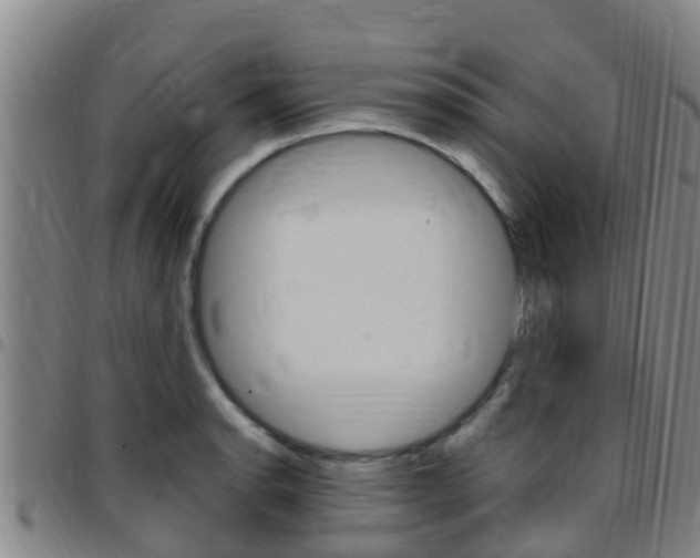 X0000097871134200803140912
