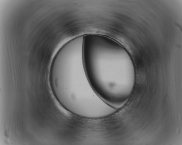 X0000097871136200803140912