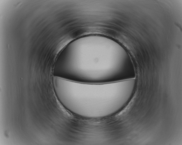 X0000097871137200803140912