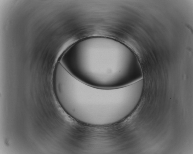 X0000097871138200803140912