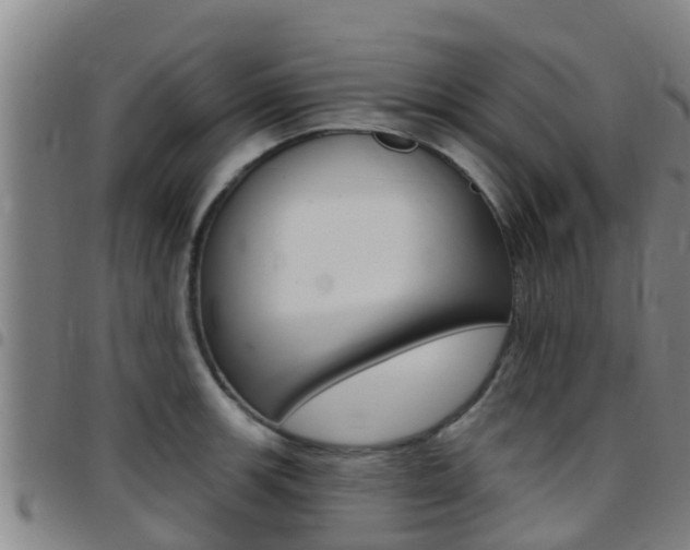 X0000097871139200803140912