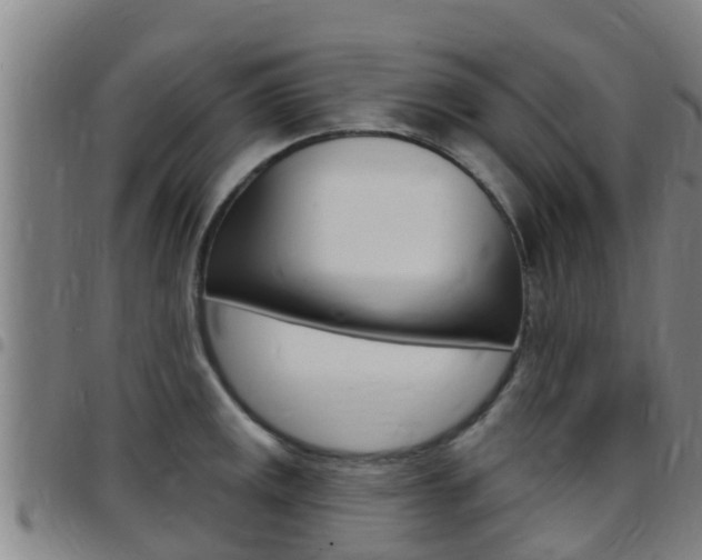 X0000097871141200803140912