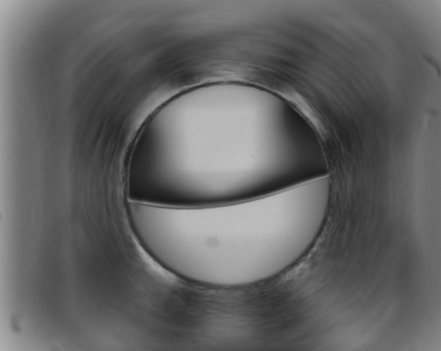 X0000097871143200803140912