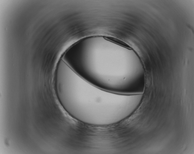 X0000097871144200803140912
