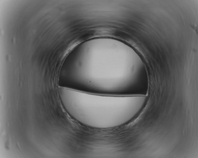X0000097871145200803140912