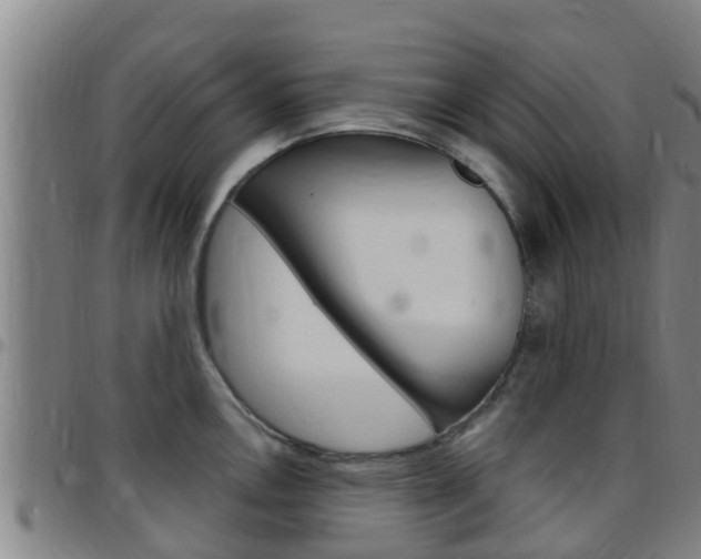 X0000097871146200803140912