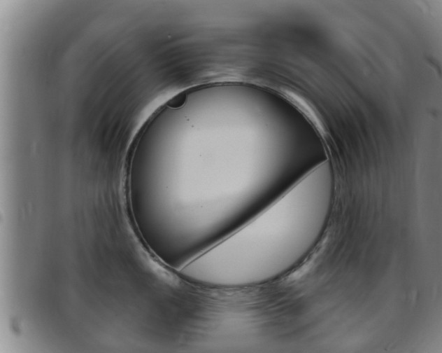 X0000097871149200803140912
