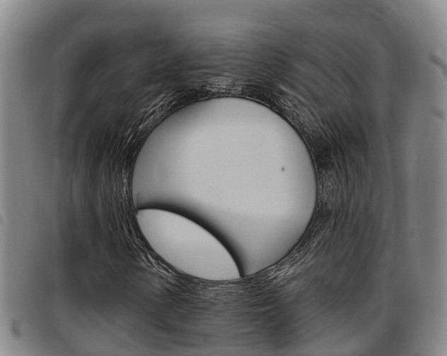 X0000097871154200803140912