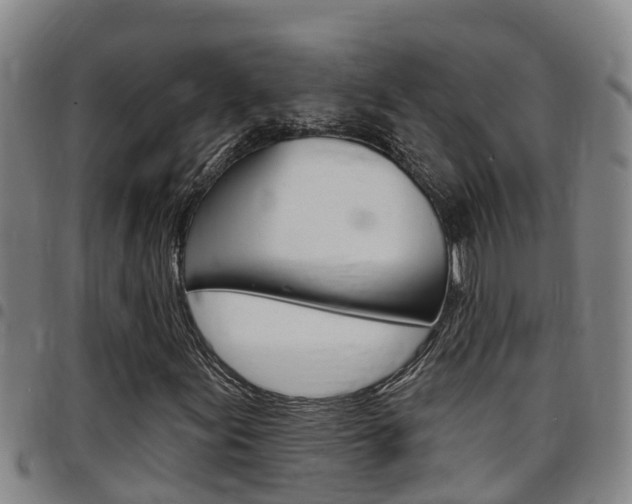 X0000097871155200803140912