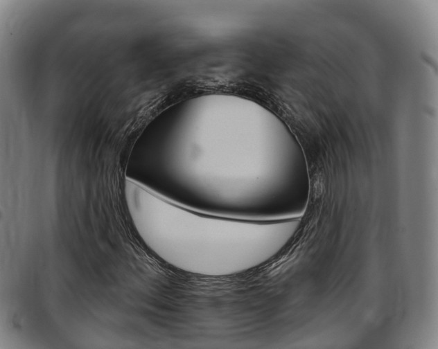 X0000097871156200803140912