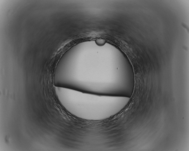 X0000097871158200803140911