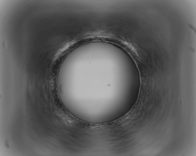 X0000097871159200803140911