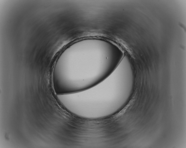 X0000097871165200803140911