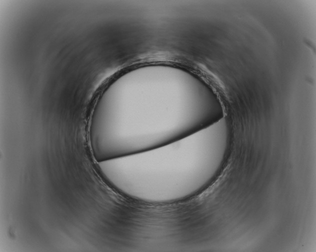 X0000097871166200803140911